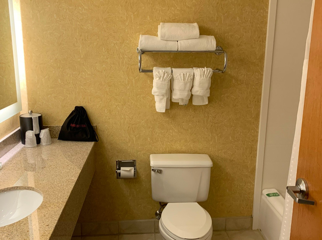 Holiday Inn Baltimore Bwi Airport By IHG主图