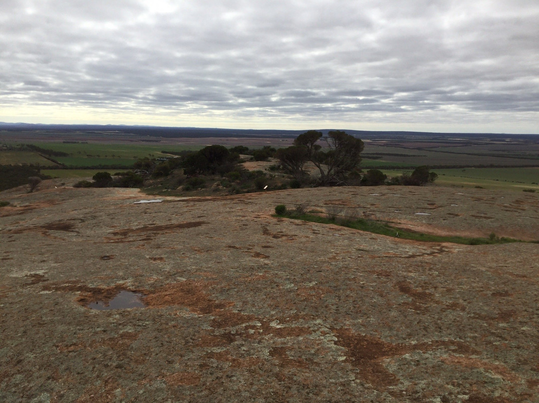 Mount Wudinna-Wudinna必去景点