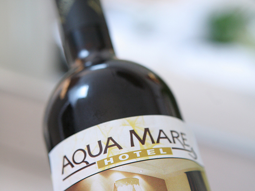 Aqua Mare Hotel主图