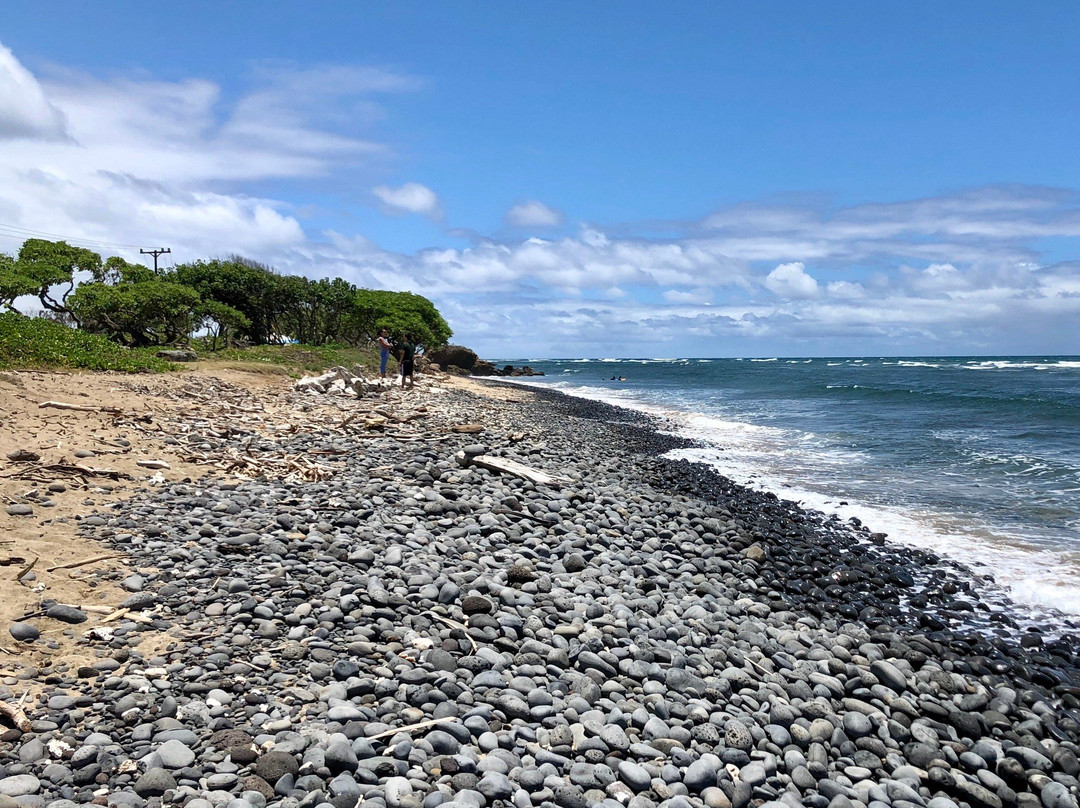 Waiehu Beach Park景点图片