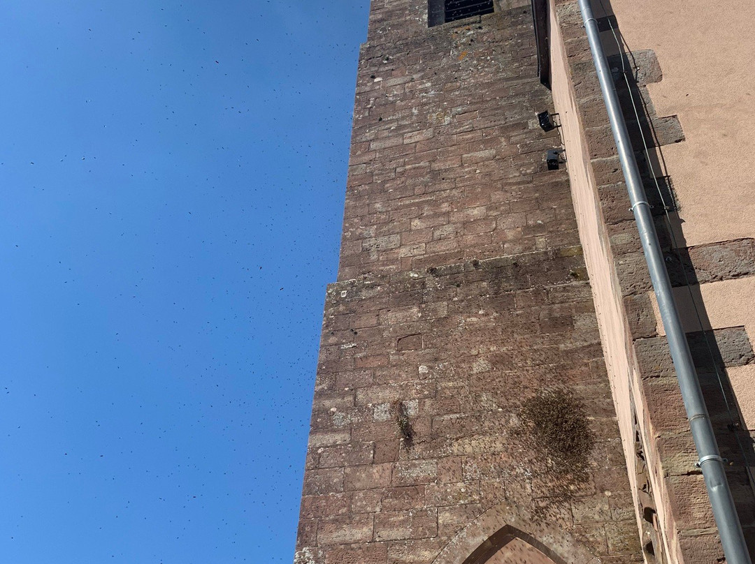 Eglise Simultanée Notre-Dame de la Petite-Pierre-La Petite Pierre必去景点