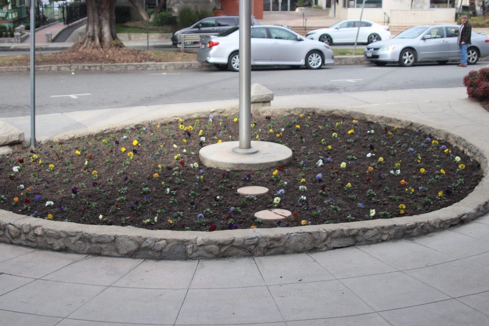 A K Smiley Public Library-雷德兰兹必去景点