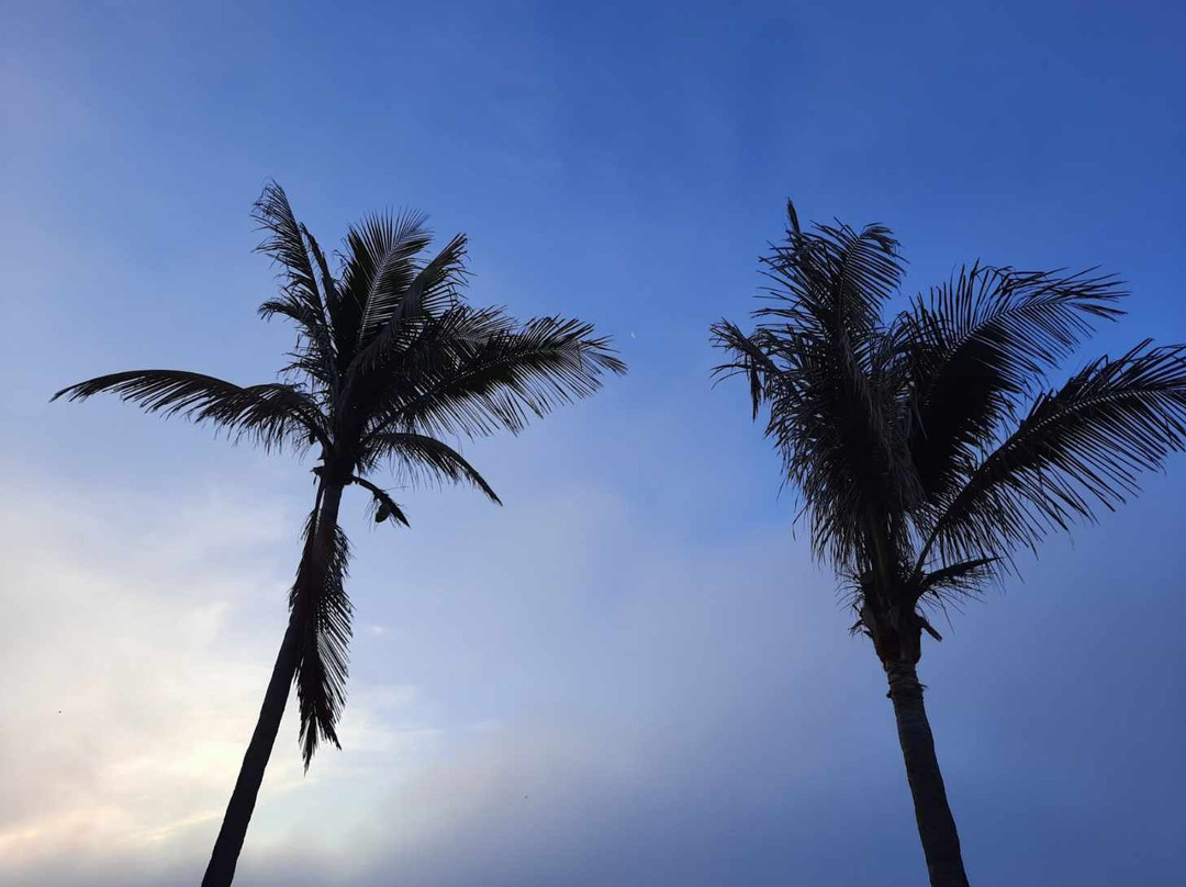 Jupiter Reef Club Resort主图