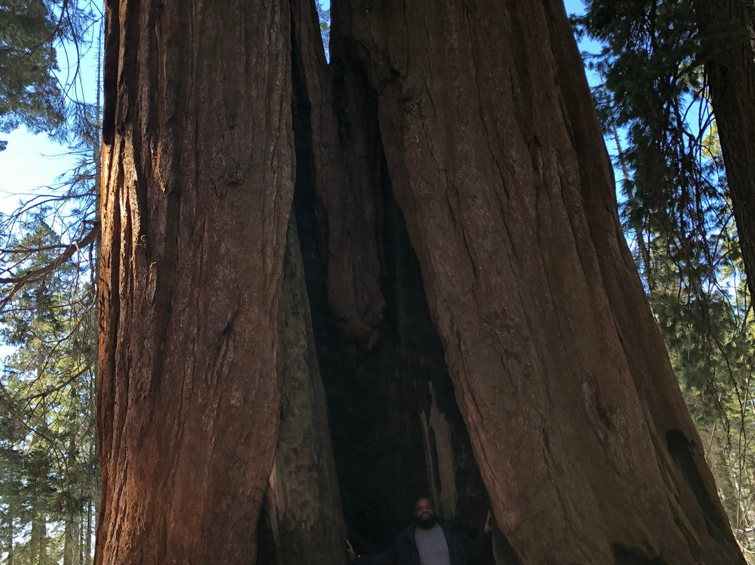 Sequoia and Kings Canyon National Parks-Three Rivers必去景点