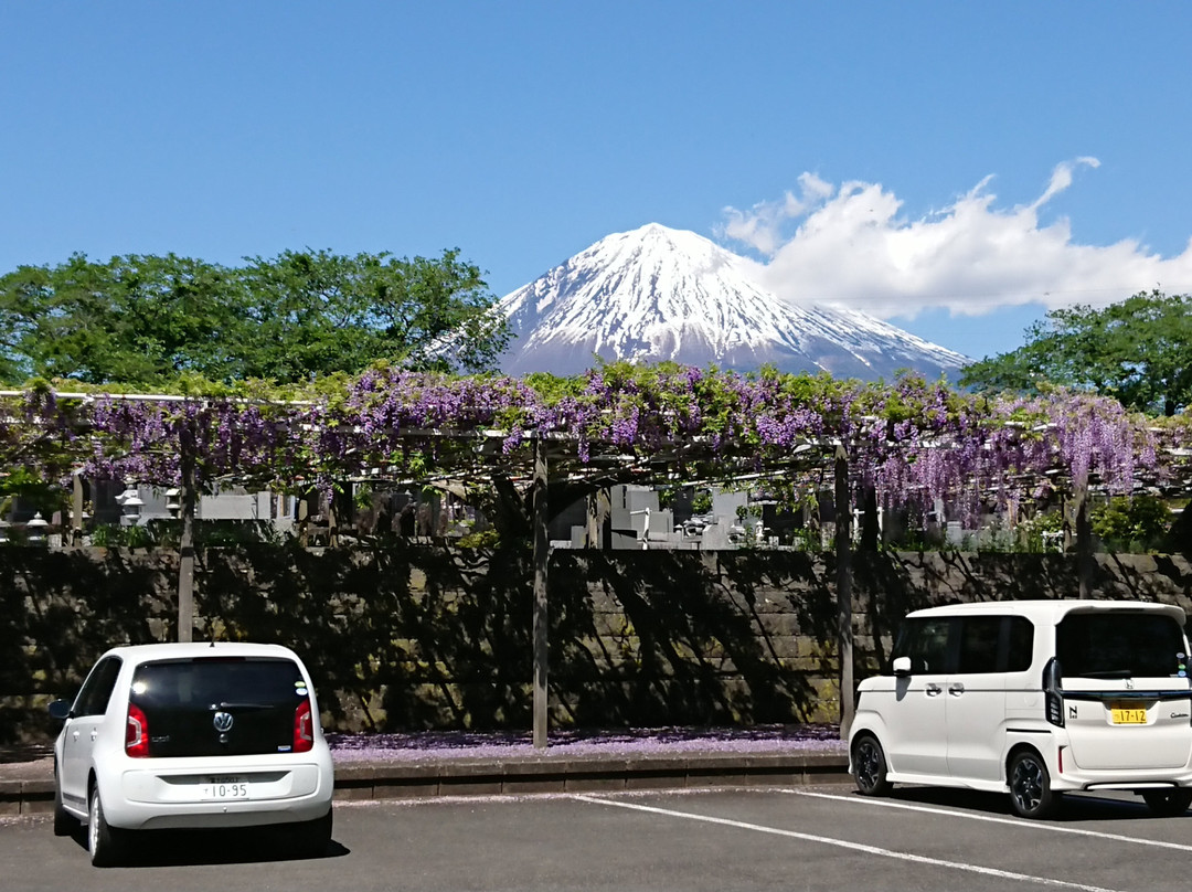 Shimonobo Temple-富士宫市必去景点