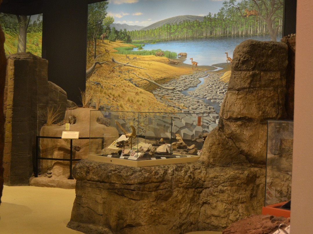 Thomas Condon Paleontology Center景点图片