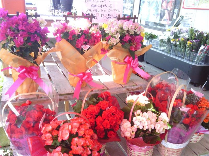 Nankan Iki Iki Village-南关町必去景点