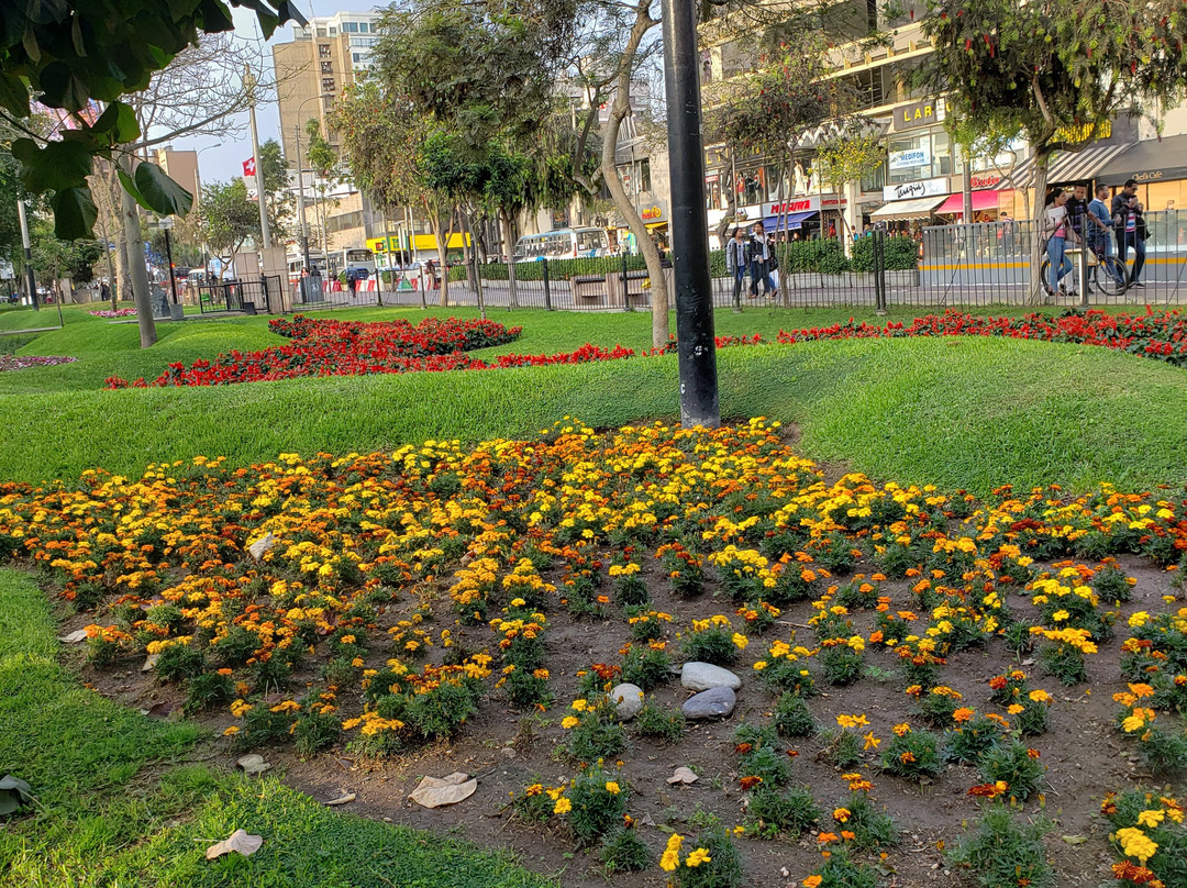 Parque Kennedy - Parque Central de Miraflores-Miraflores必去景点