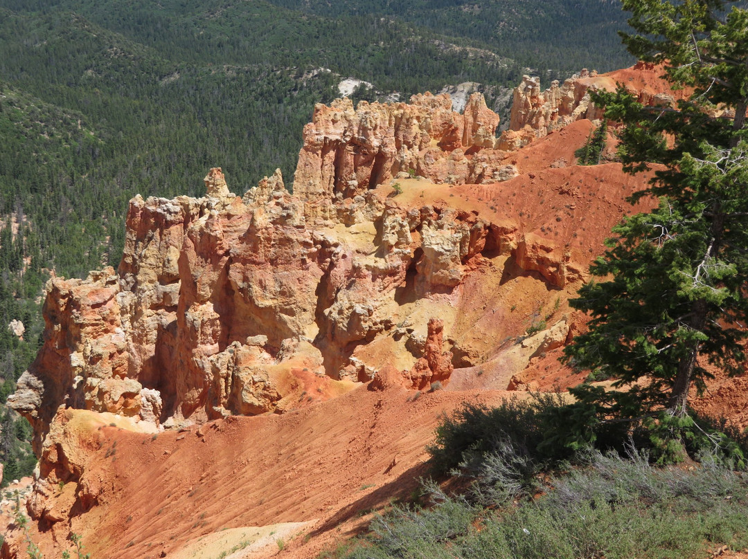 Ponderosa Canyon景点图片