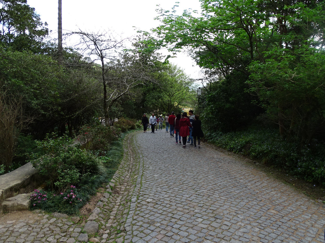 Ancient Duck Houses at Park of Pena景点图片
