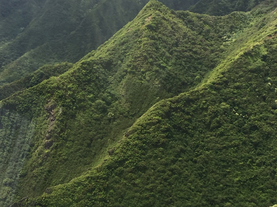 Paradise Helicopters-卡胡库必去景点