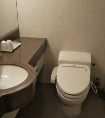 Castle Inn Toyokawa主图