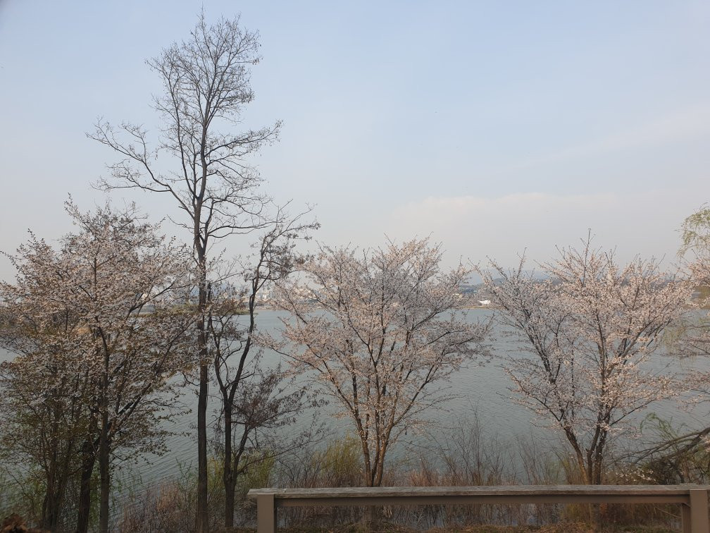 Uiwang Nature Learning Park-义王市必去景点