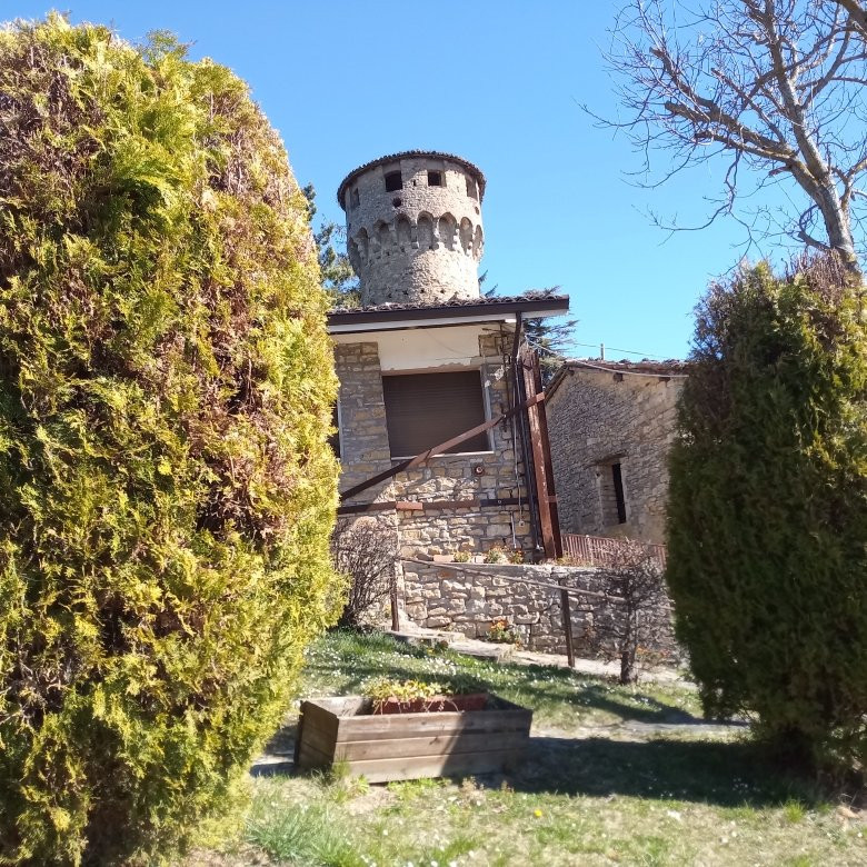 Castello di Monfestino景点图片
