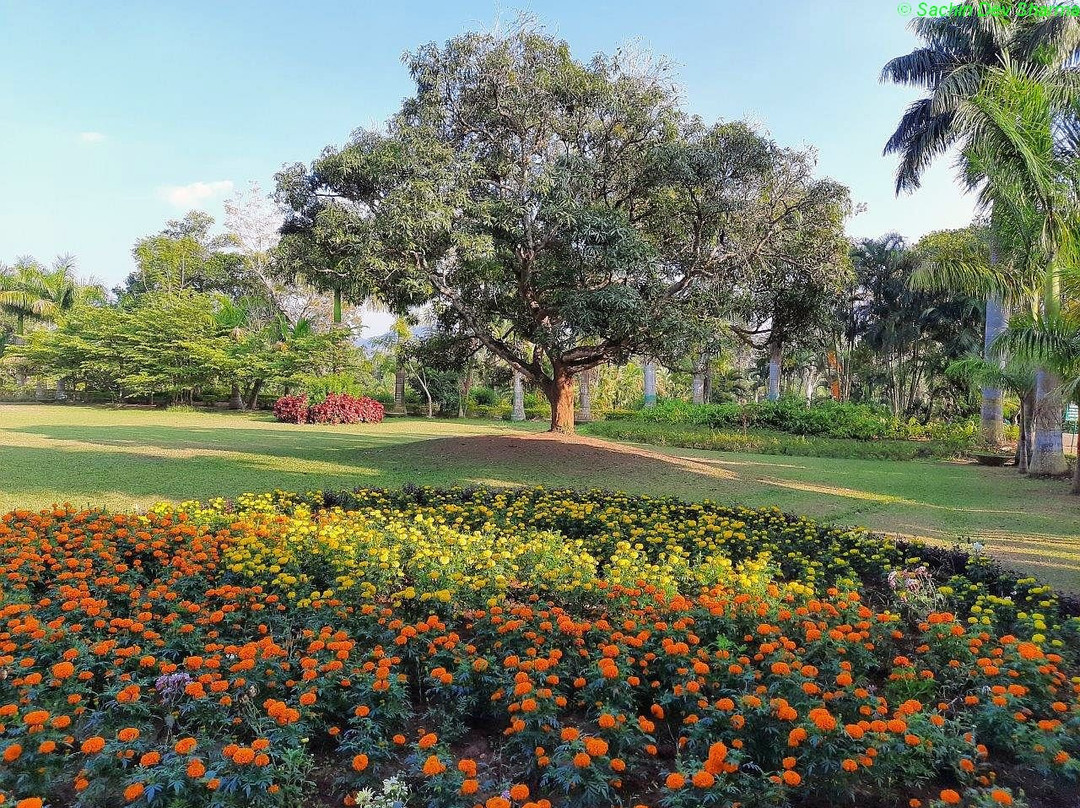 Padmapuram Gardens景点图片