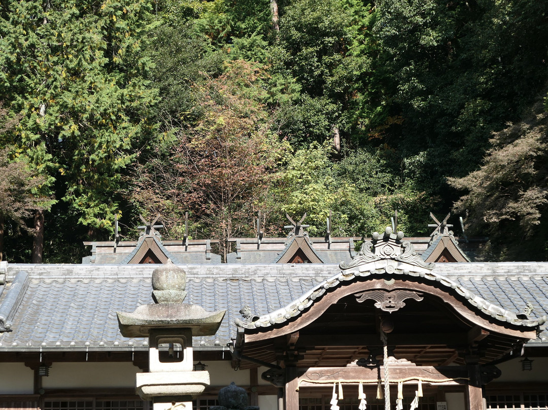 Anashinimasuhyozu Shrine-樱井市必去景点