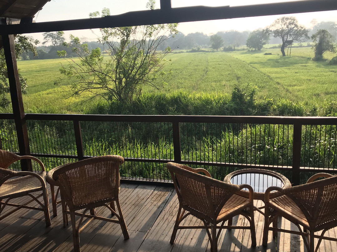 Sigiriya Jungles主图