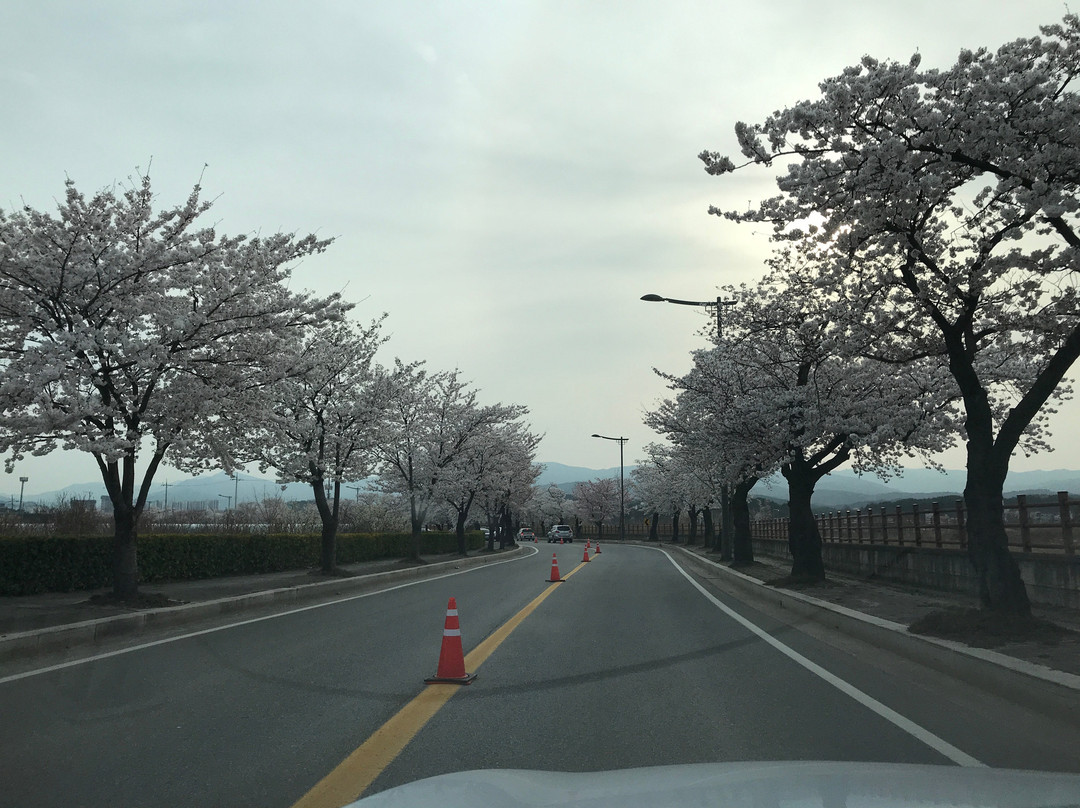 Gyeongpodae-江陵市必去景点