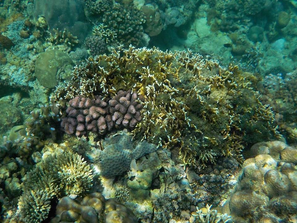 Long Beach-葡多咖蕾拉必去景点