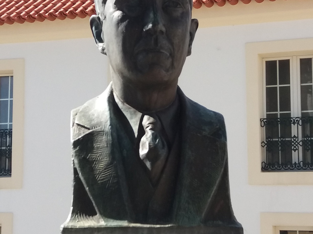 Busto de Jaime Augusto Ferreira景点图片