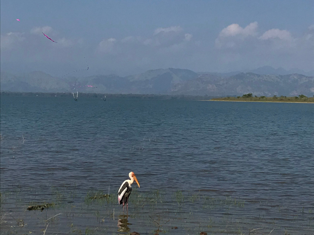 Happy Elephant Safari Udawalawe-乌达瓦拉瓦必去景点