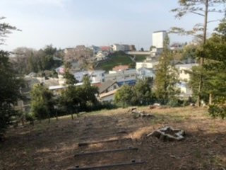 Iseyama Nature Park景点图片