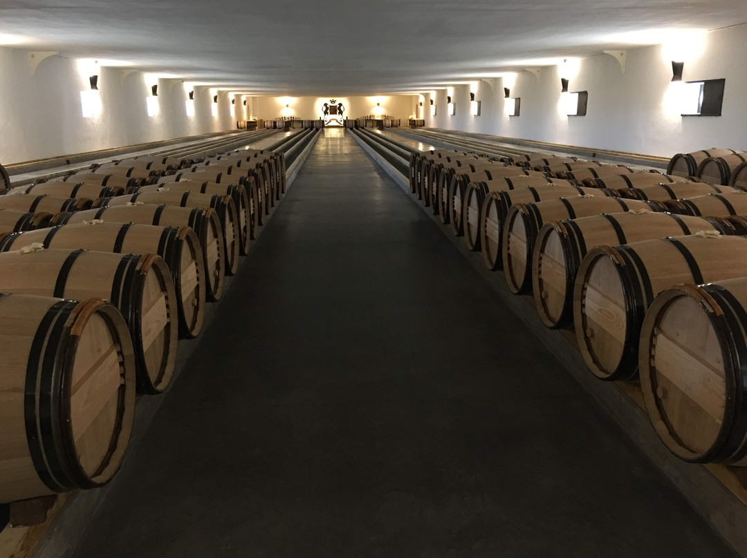 Chateau Mouton Rothschild景点图片