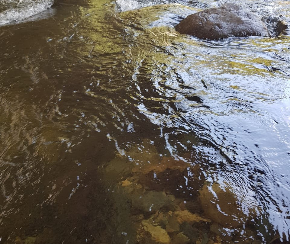 Estrada Da Graciosa-库里提巴必去景点