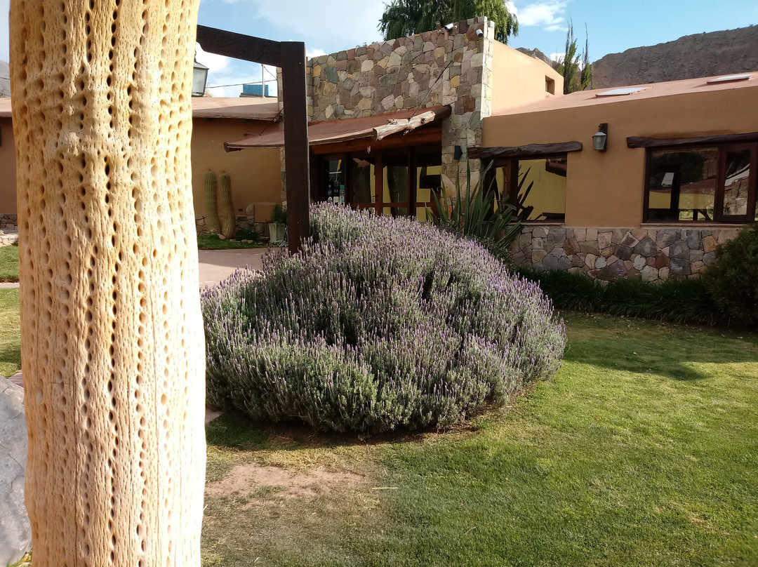 艾尔里博索戴尔迪阿布罗酒店主图