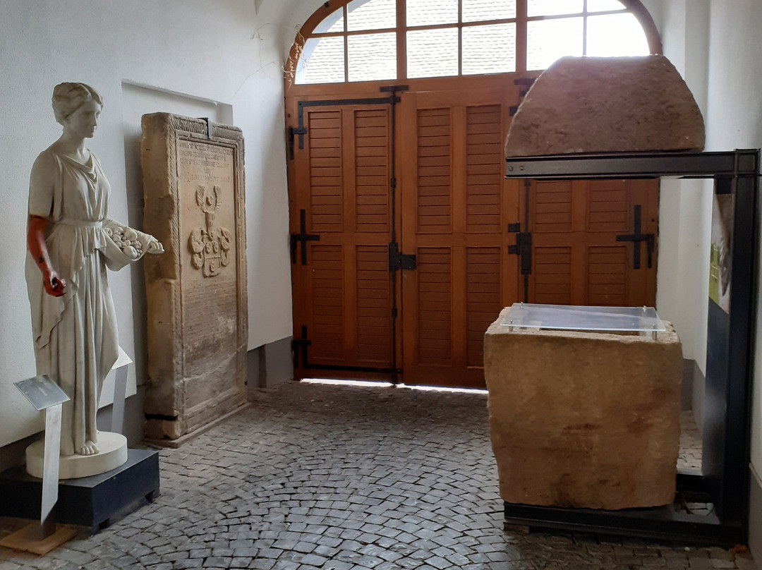Museum im Stadtpalais Kirchheimbolanden景点图片