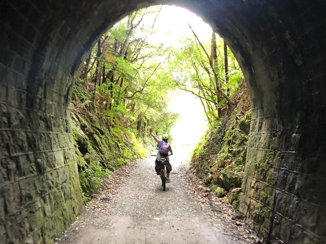 Cycle Remutaka景点图片