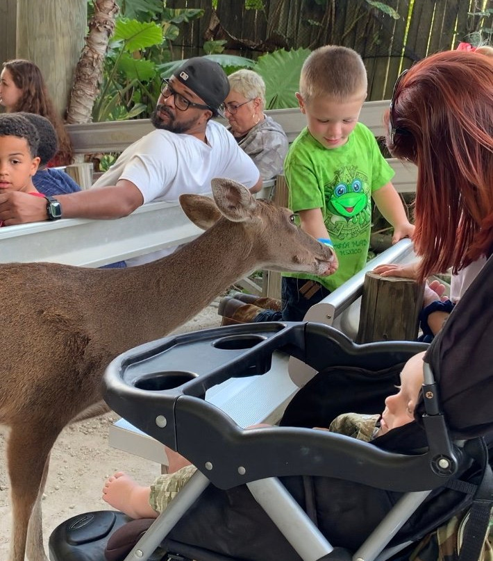 Billie Swamp Safari-克莱维斯顿必去景点