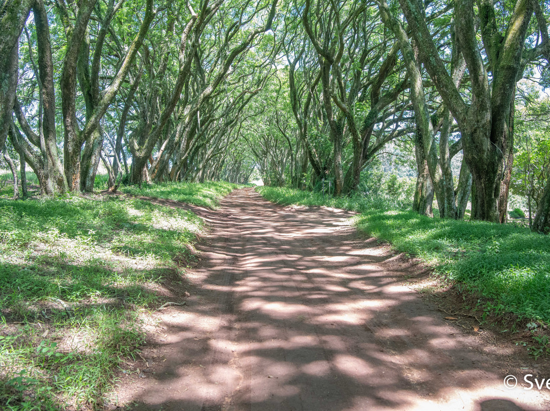 海格罗夫楼酒店主图