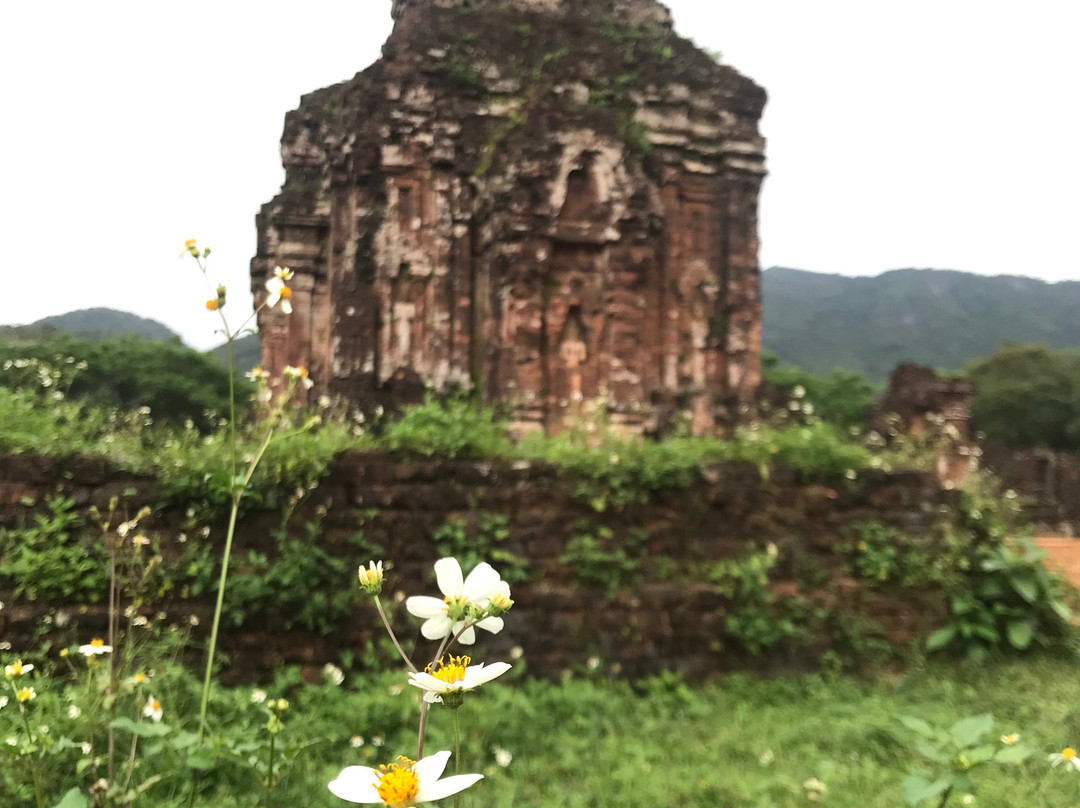 My Son Tour-会安必去景点