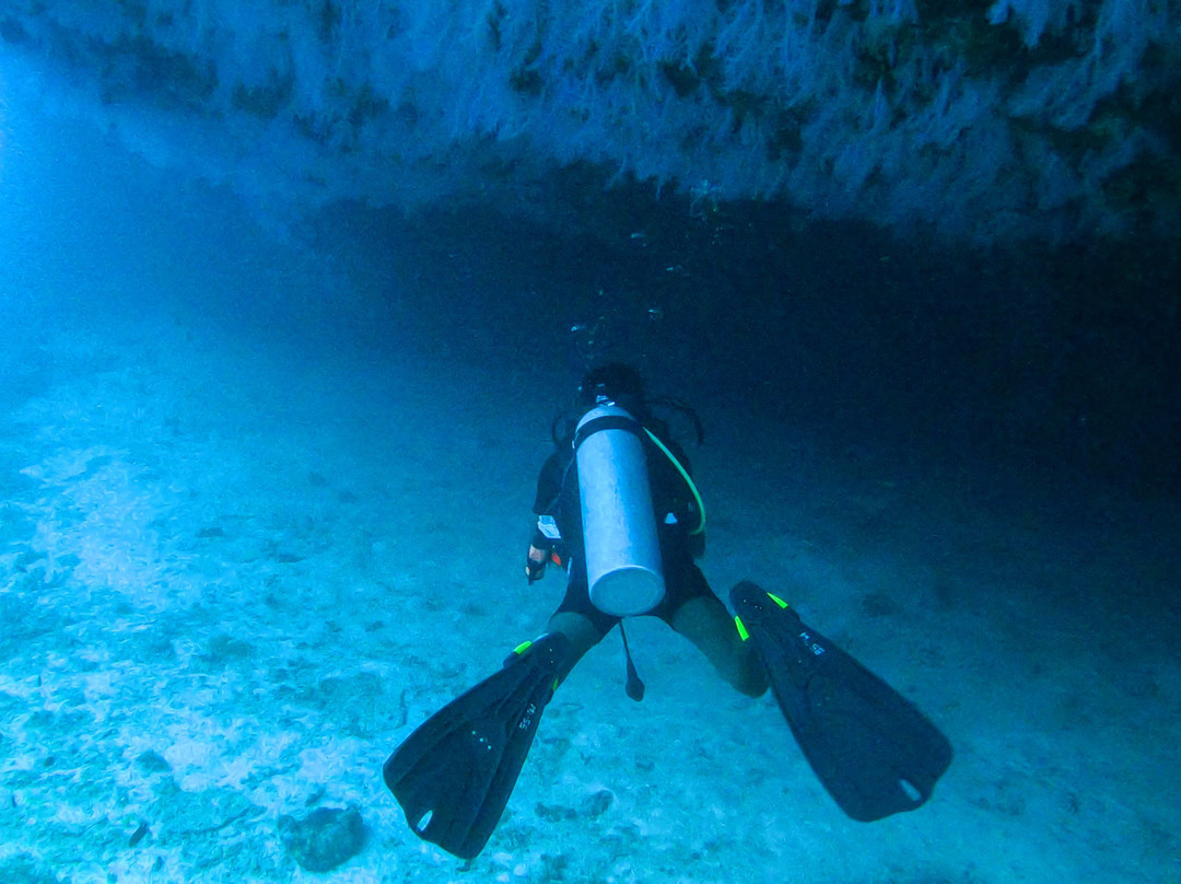Sub Oceanic Dive Club景点图片