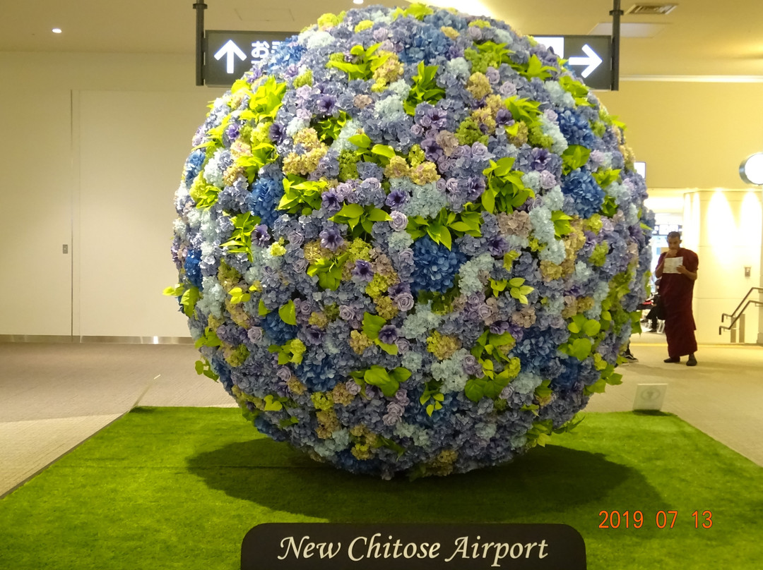 International Terminal Oasis Park-千岁市必去景点