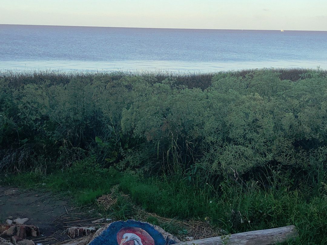 Aguila Grande Fuera del Tiempo Park