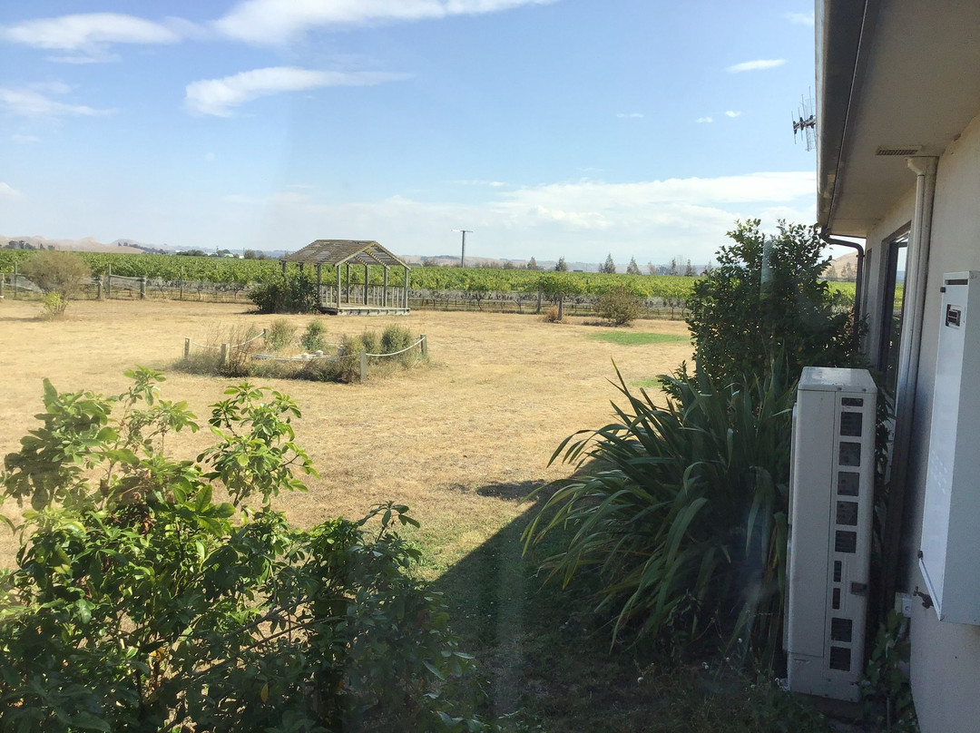 Ash Ridge Wines景点图片