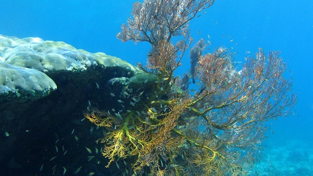 珊瑚景别墅酒店主图