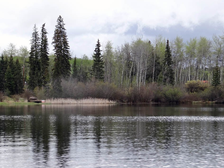 Bridge Lake Provincial Park景点图片