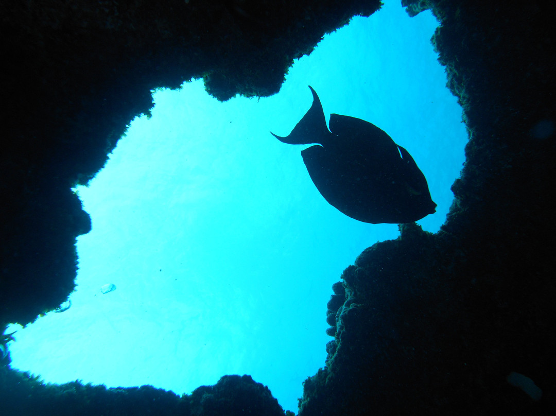Scuba World Diving Mauritius景点图片