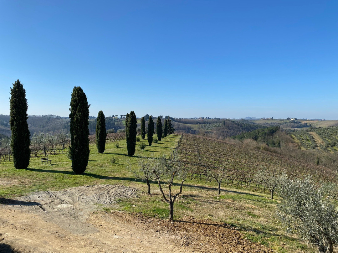 Salvadonica - Borgo Agrituristico del Chianti主图