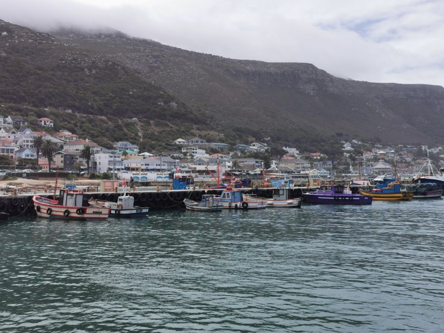 Sunny Cove Manor主图