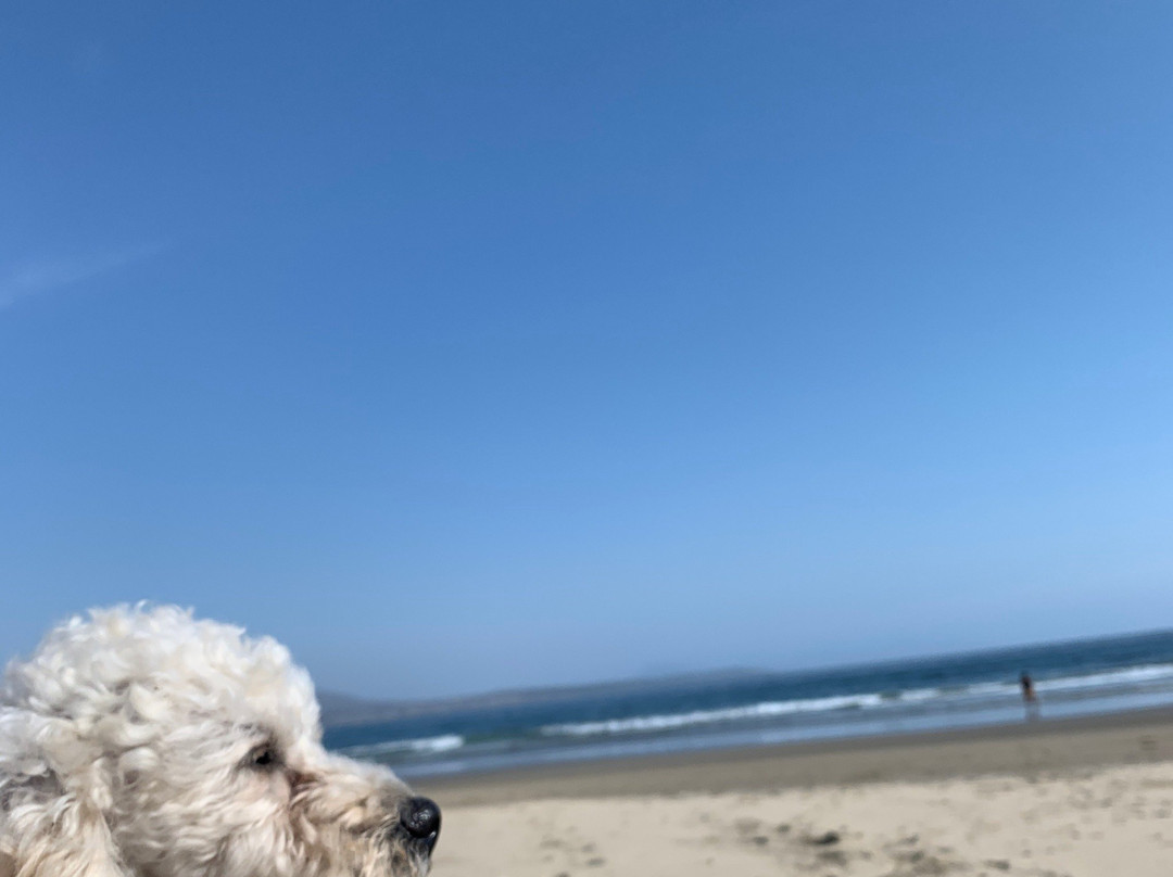 Playa Los Molles-La Ligua必去景点