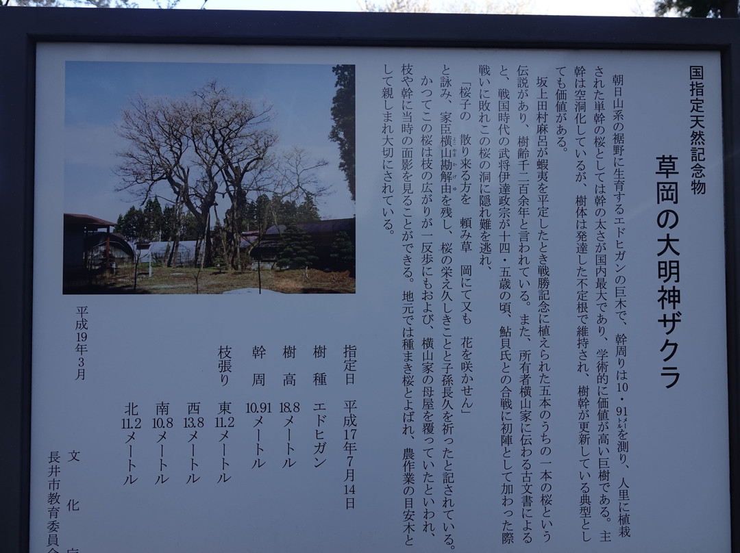 Kusaoka Daimyojin Zakura景点图片
