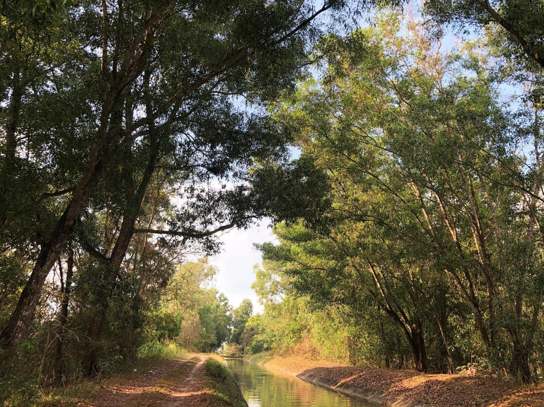 Cu Chi Adventure Tour景点图片