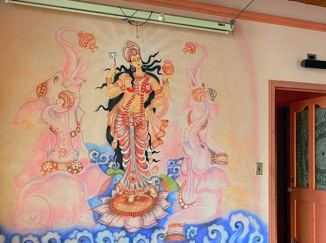Bocas Yoga景点图片