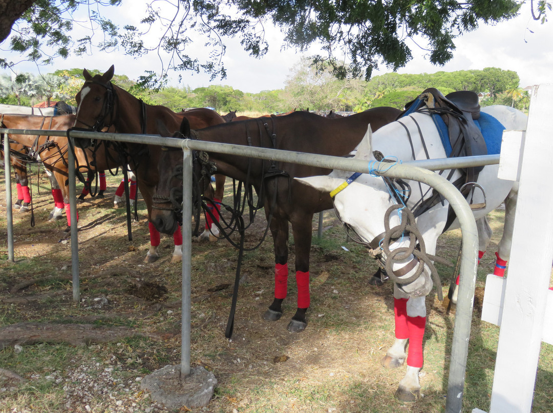 Barbados Polo Club-圣詹姆斯必去景点