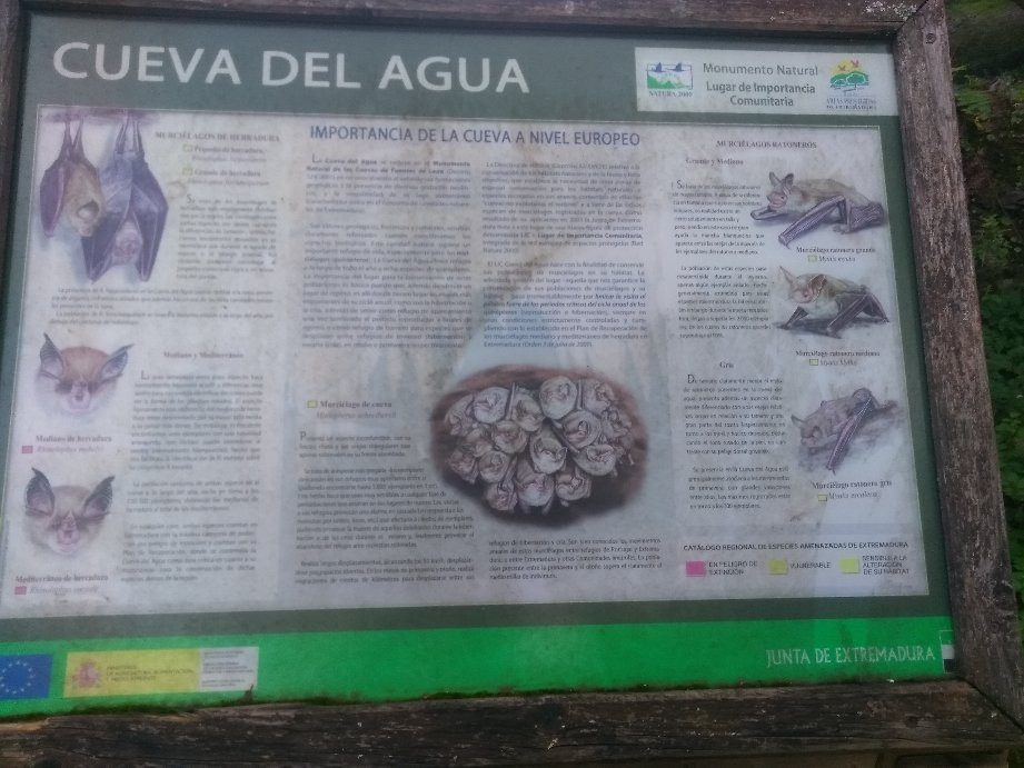 Monumento Natural Cuevas de Fuentes de Leon景点图片