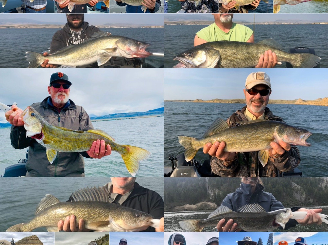 Montana Hunting & Fishing Outfitters-赫勒拿必去景点